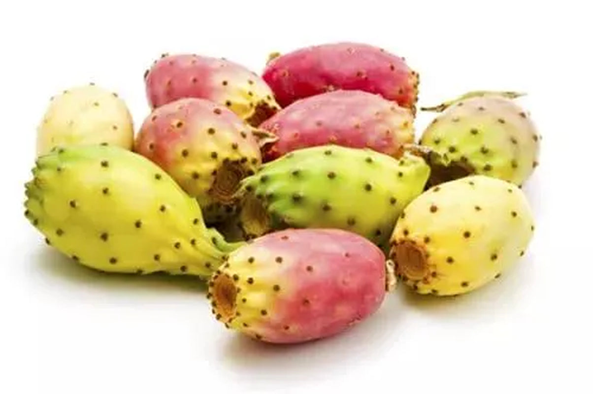 Prickly Pear Oil - Moroccan - 32 Ml / 1.13 Fl Oz