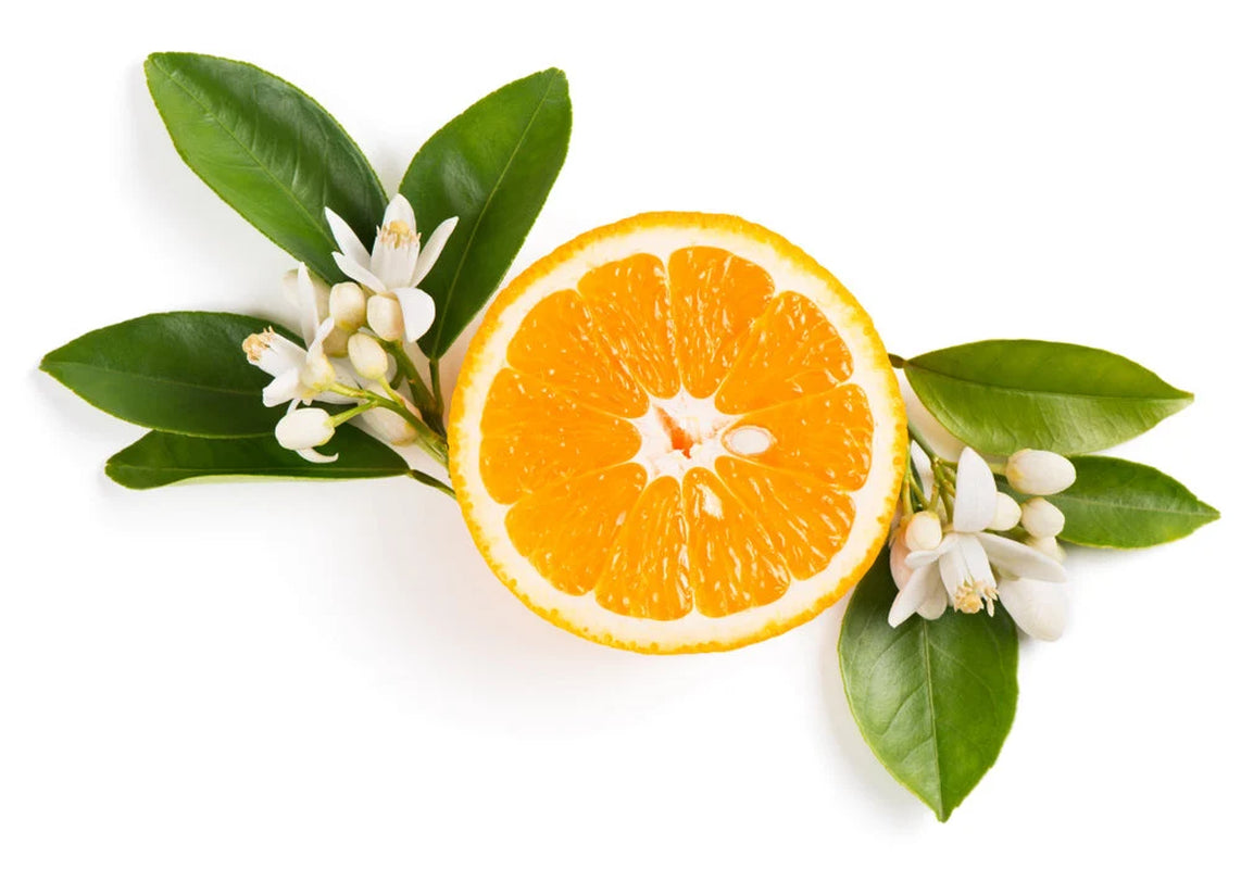 Argan Oil Body Butter