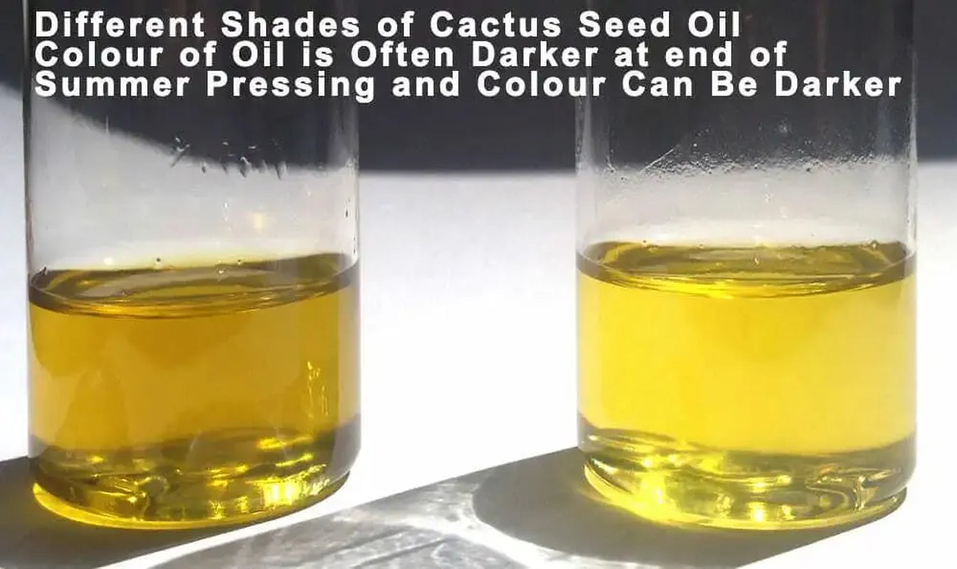 Prickly Pear Oil - Moroccan - 32 Ml / 1.13 Fl Oz