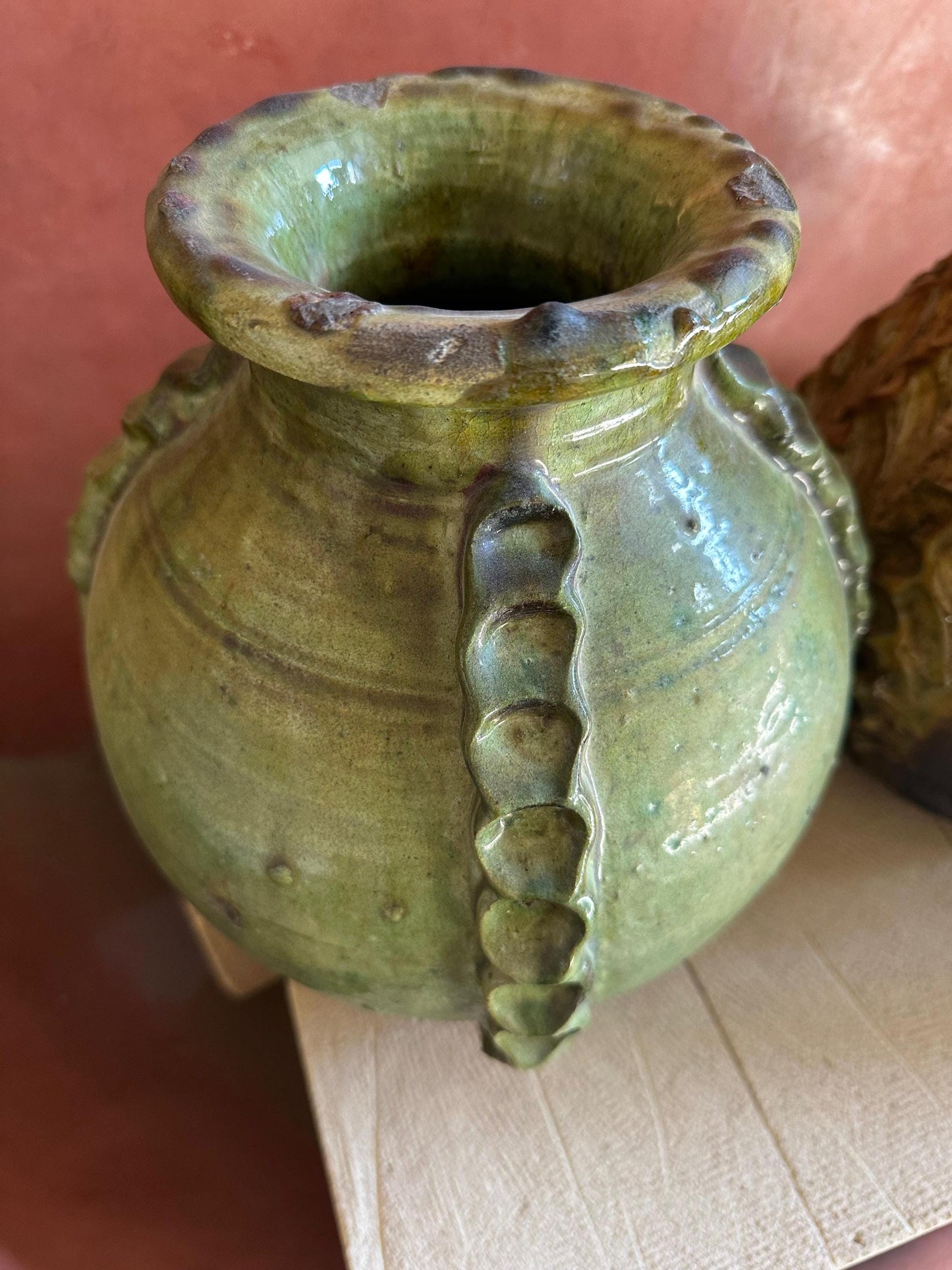 Cactus Vases of Tamegrouse