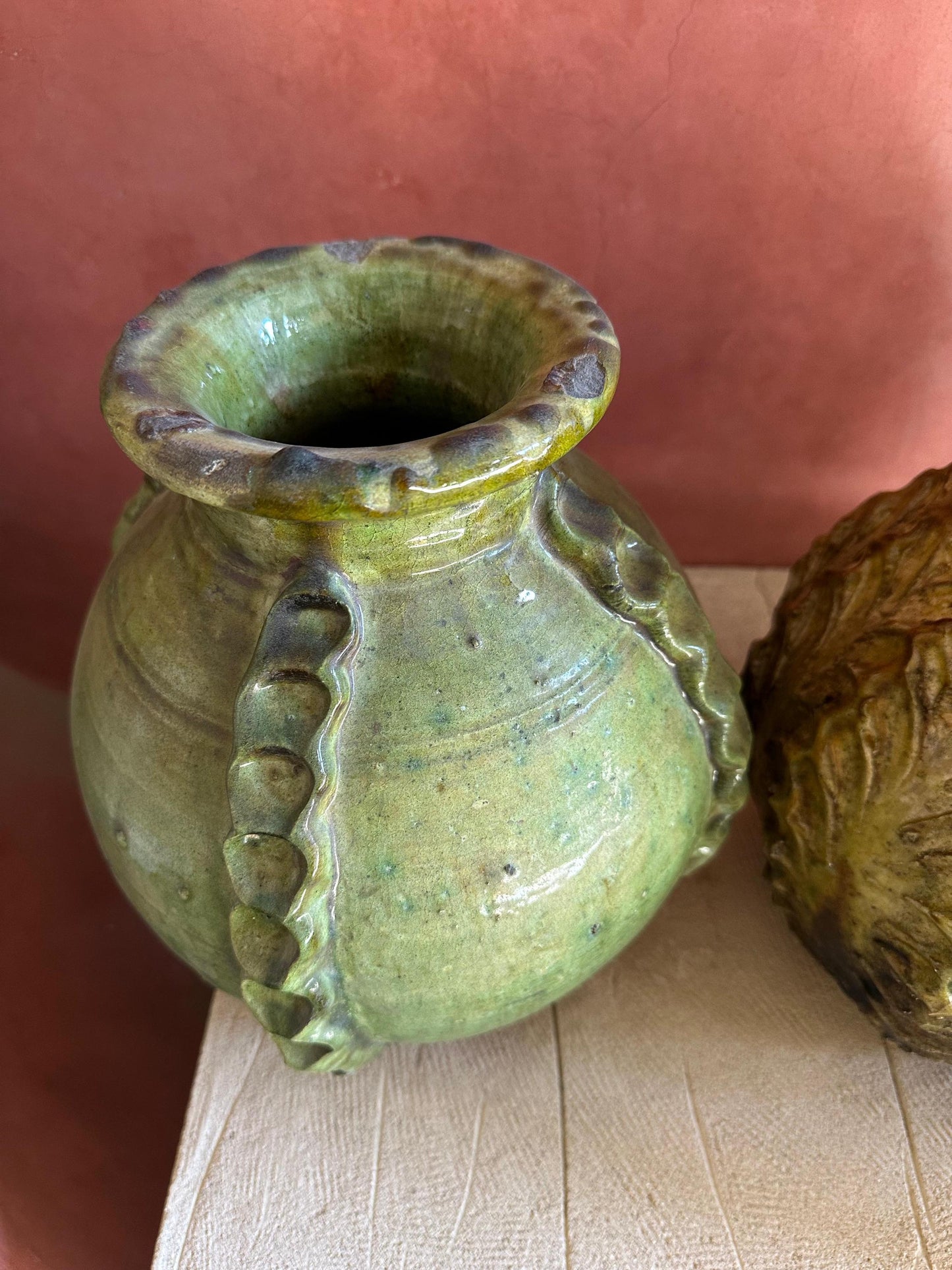 Cactus Vases of Tamegrouse