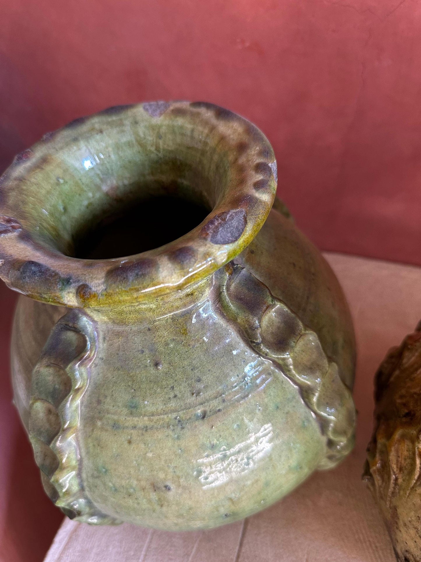 Cactus Vases of Tamegrouse
