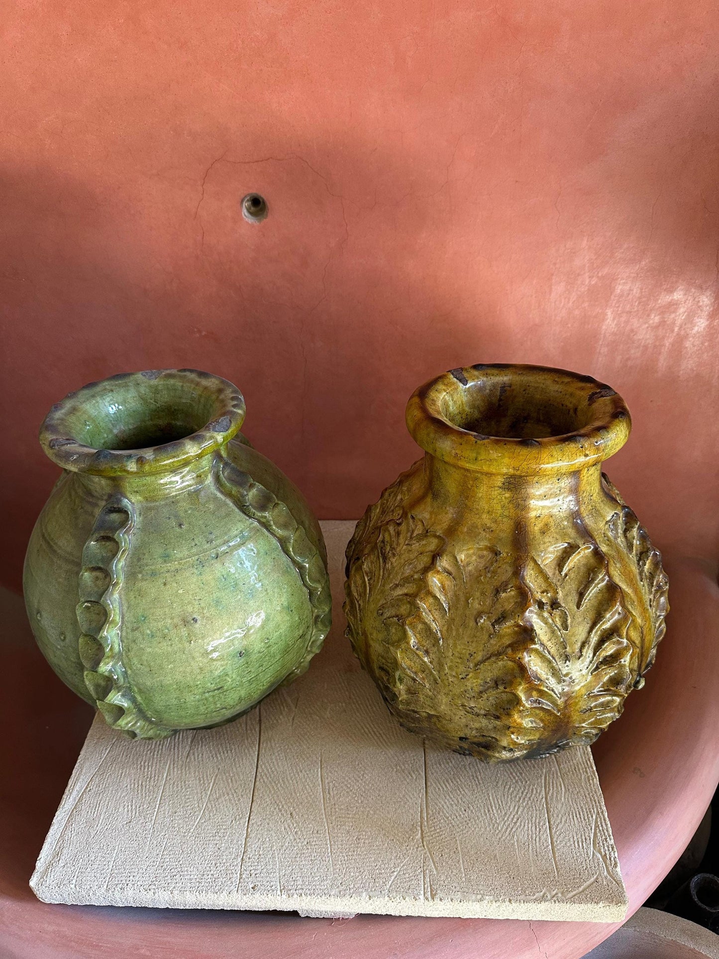 Cactus Vases of Tamegrouse