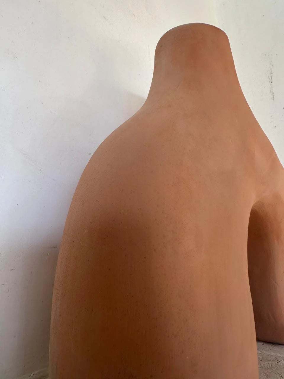 Terracotta Natural Vase