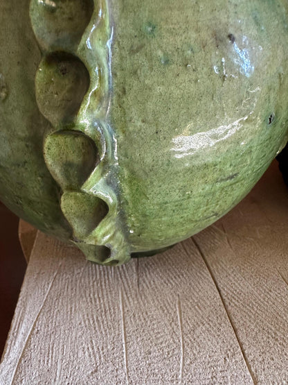 Cactus Vases of Tamegrouse